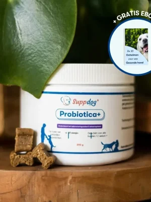 Probiotica voor honden in een pot van het merk Suppdog met gratis ebook sticker