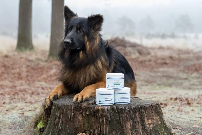 Duitse herder op boomstronk met Suppdog producten