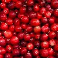 Cranberry als ingrediënt voor probiotica voor honden