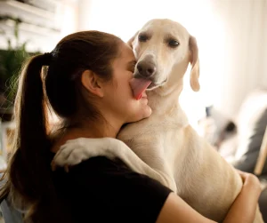 Warum Ihr Hund sich freut, Sie wiederzusehen