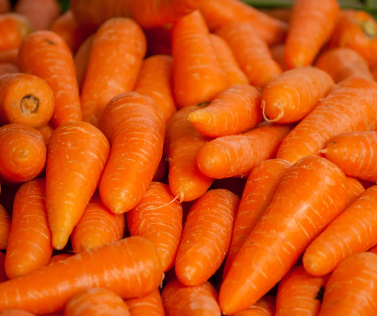 Kunnen honden wortels eten?