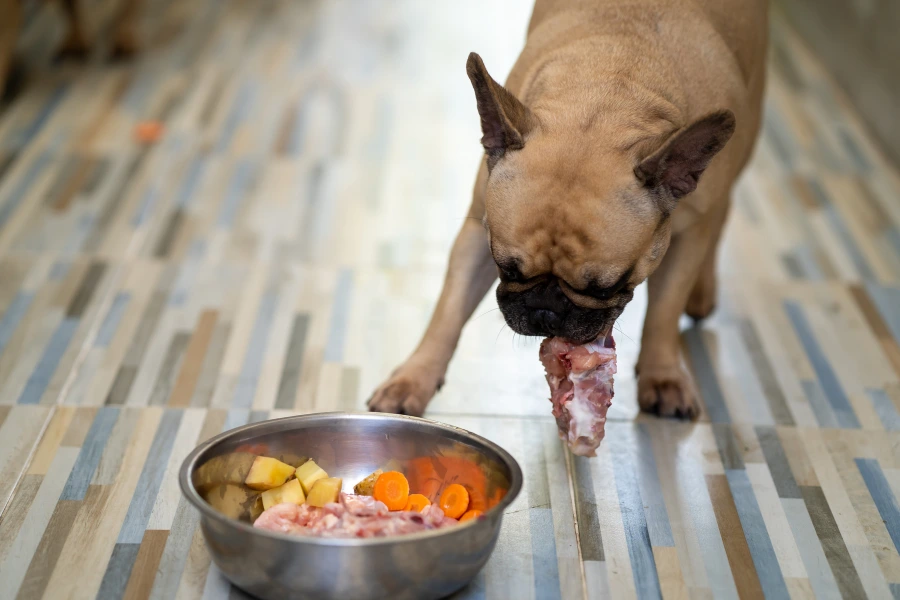 Hond eet een gevarieerde maaltijd met wortels
