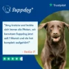 Suppdog Probiotics+ Bewertung