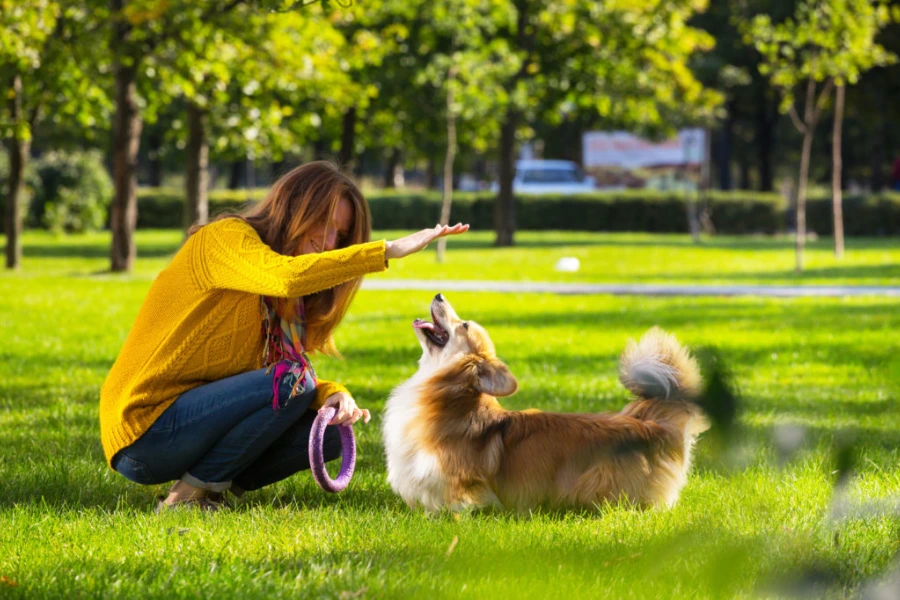 Baasje is aan het bewegen met haar hond ter preventie van verlatingsangst
