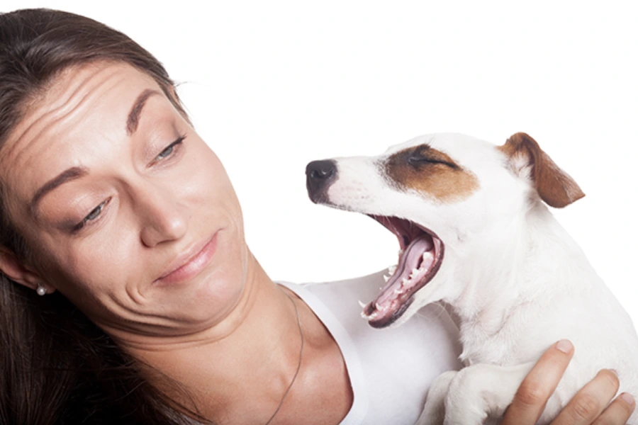 Baasje heeft last van stinkende adem van hond 