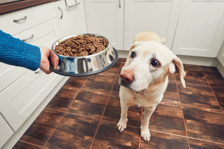 Hond krijgt groenlipmosselen voor honden verwerkt in het voer
