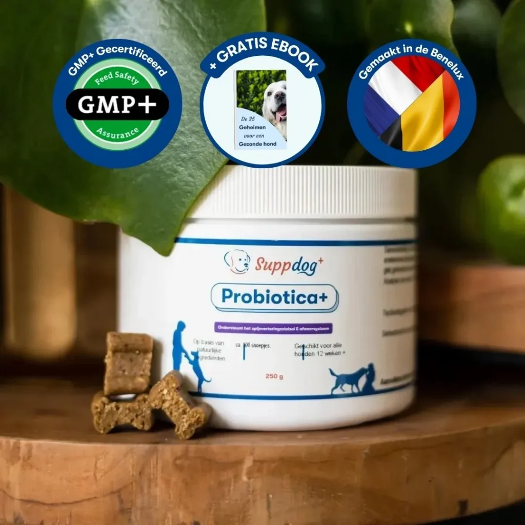 Probiotica voor honden in een pot van het merk Suppdog met gratis ebook sticker, gemaakt in benelux sticker, trustpilot sticker en gmp+ sticker