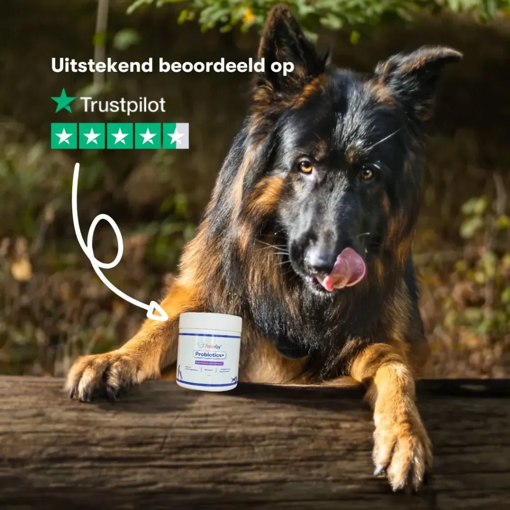 Likkende hond naast een Probiotica+ potje van Suppdog