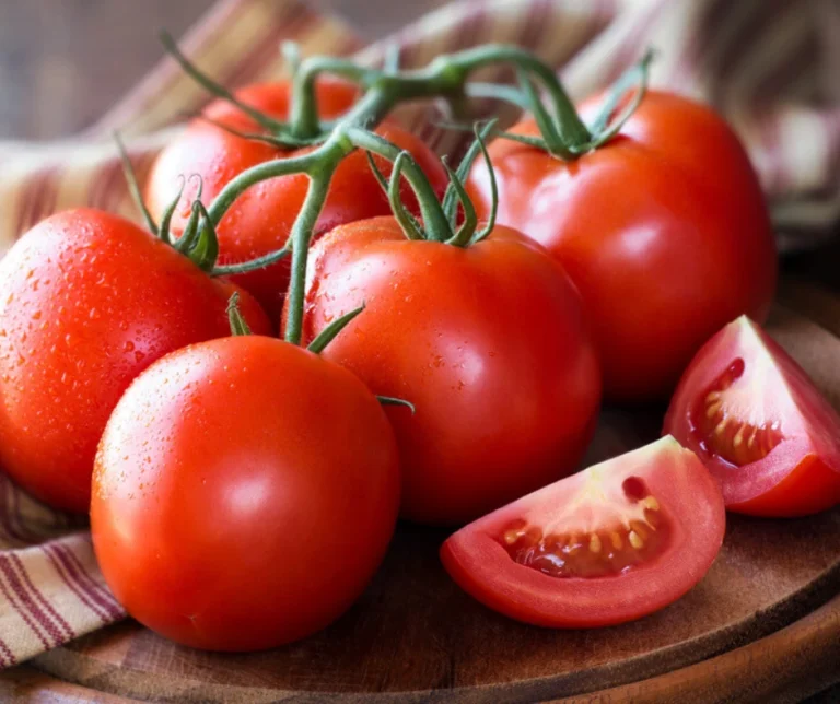 Kan een hond tomaat eten? De waarheid over tomaten