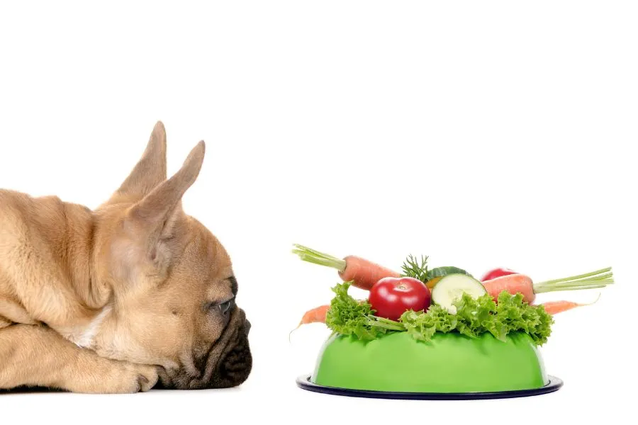 Hond die kijkt naar bak met groenten