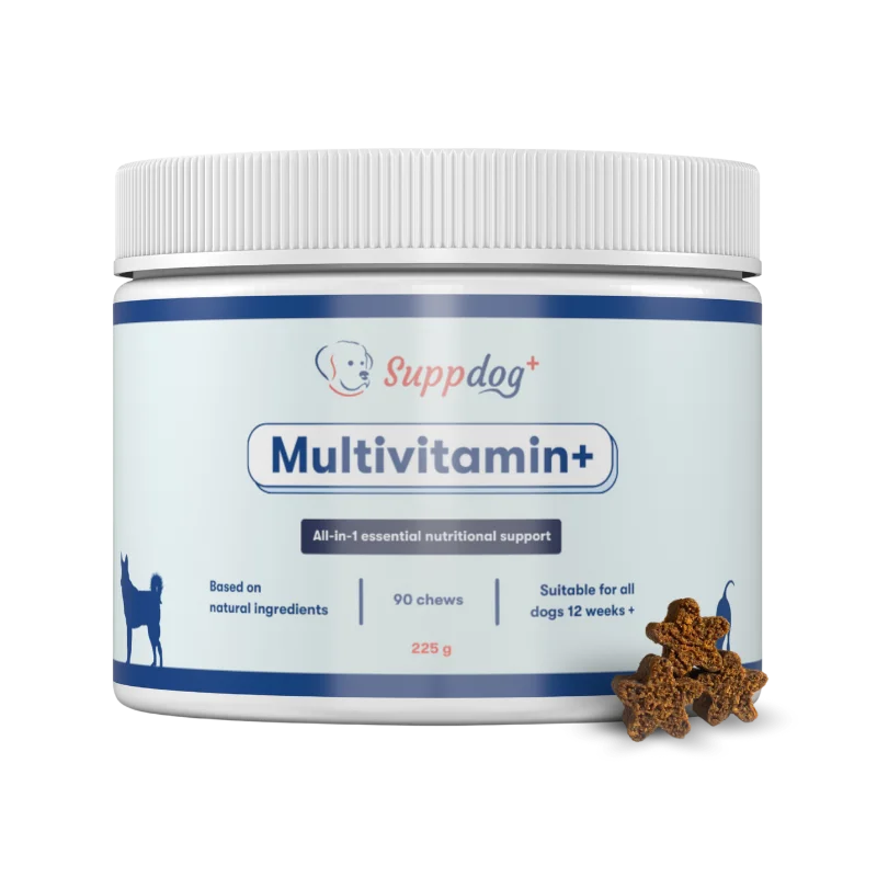 Multivitamin+ snoepjes met essentiële vitamines voor honden