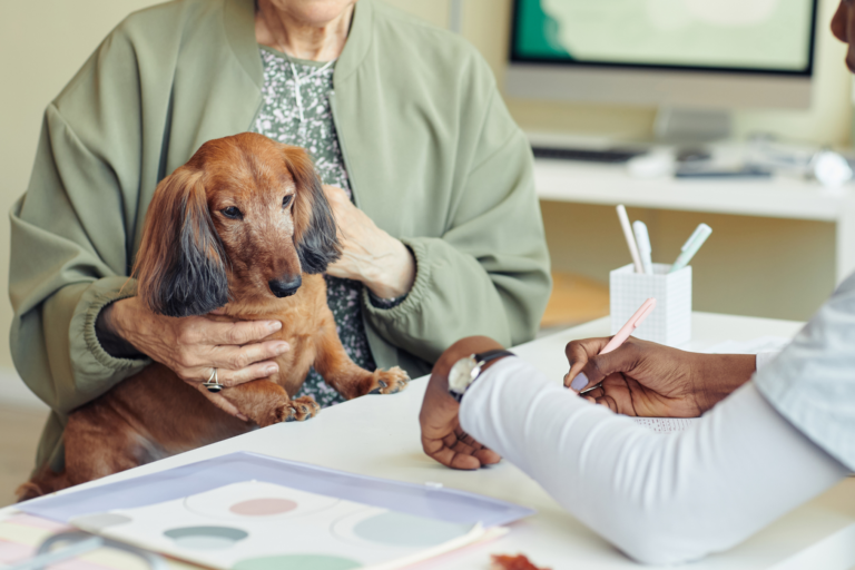 Ziekte van Cushing bij honden: symptomen, diagnose en behandeling