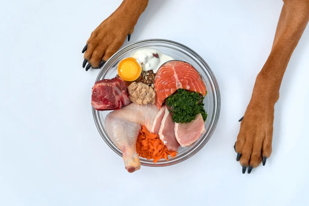Rauw vlees met honden poten