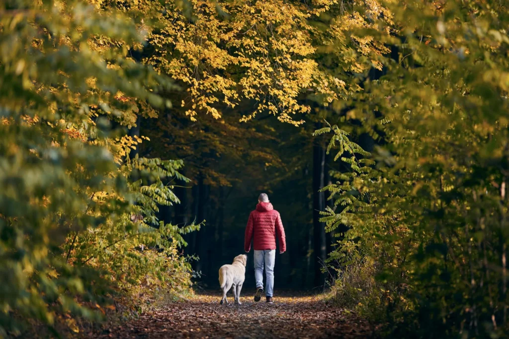 Wandelen in bos met hond