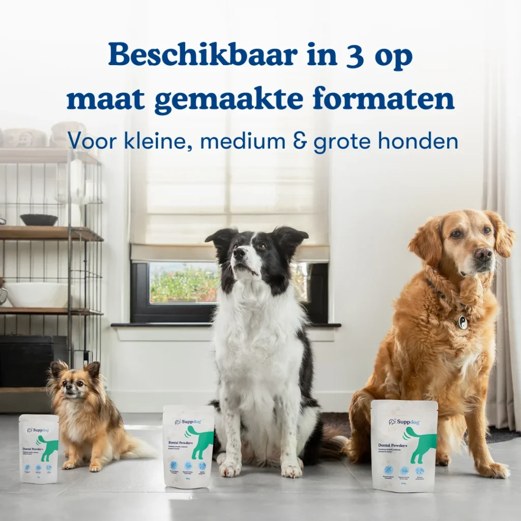 Dental Powder+ beschikbaar in 3 maten met 3 honden bij de bijpassende zakjes