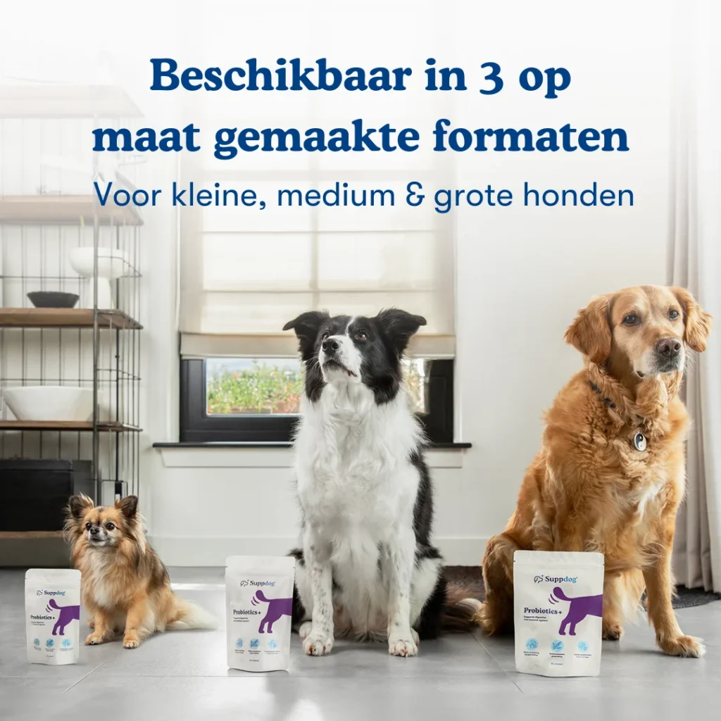 Probiotica+ beschikbaar in 3 maten met 3 honden bij de bijpassende zakjes