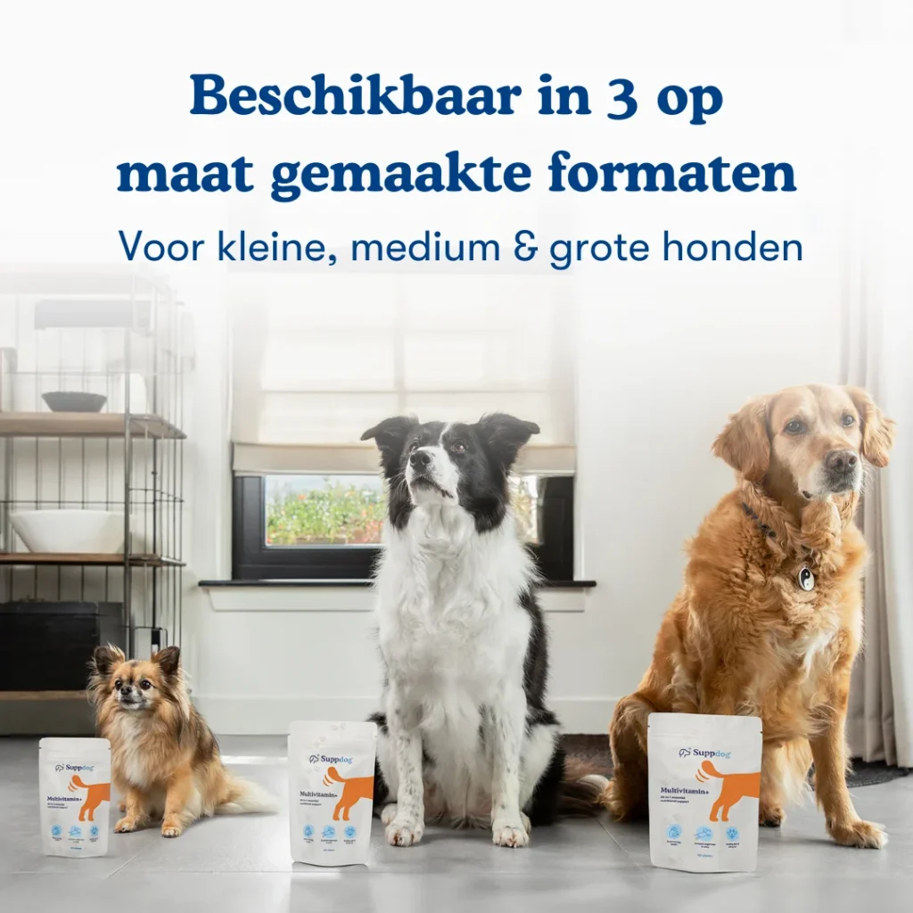 Multivitamin+ beschikbaar in 3 maten met 3 honden bij de bijpassende zakjes