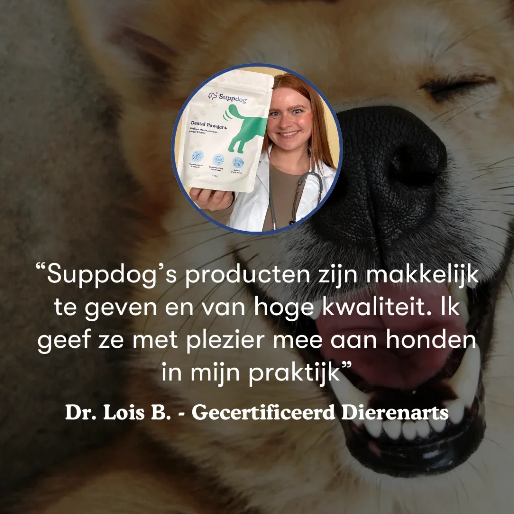 Dental Powder+ dierenarts quote van Lois met hond, baasje en een lachende hond op de achtergrond