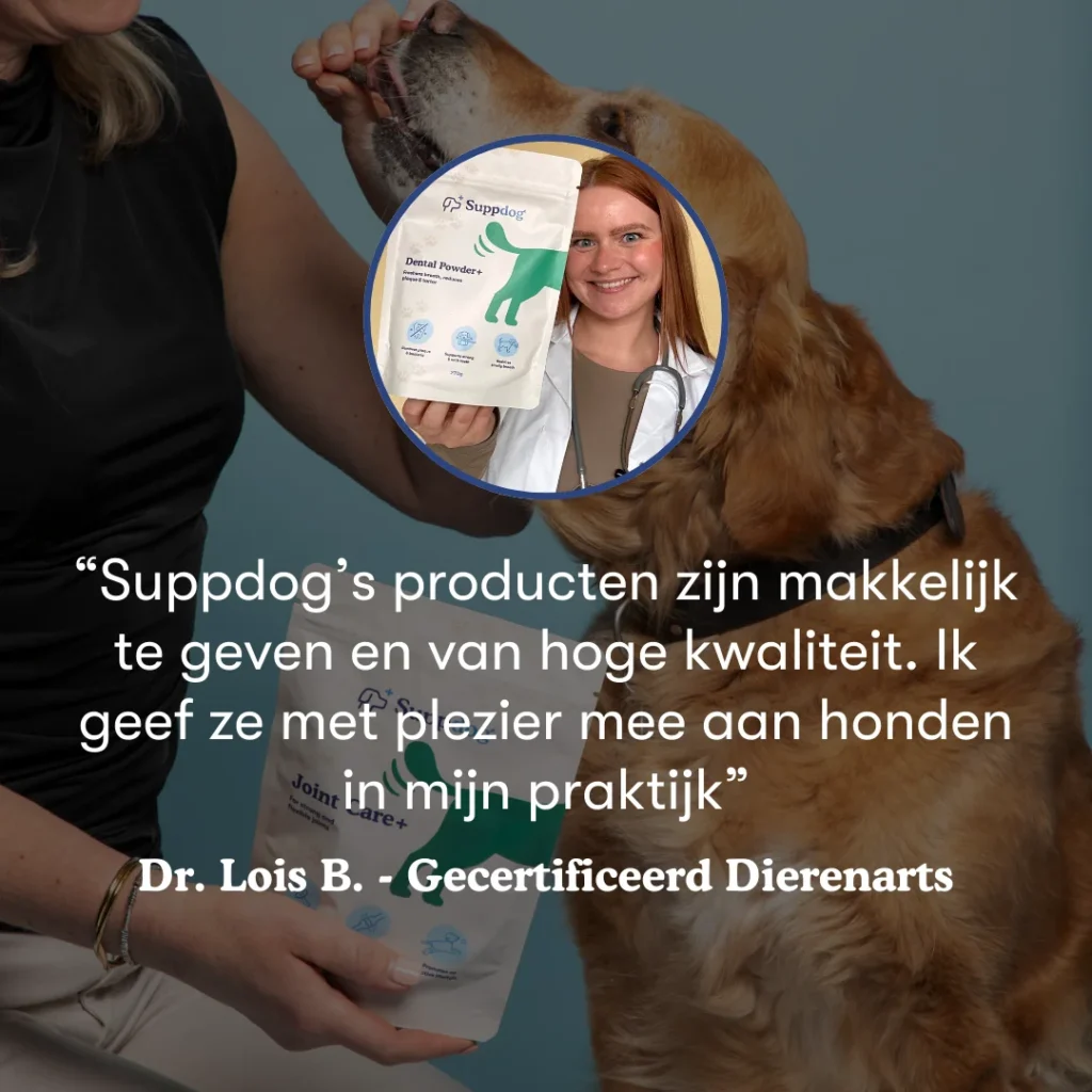 Joint Care+ dierenarts quote van Lois met hond, baasje en het product op de achtergrond