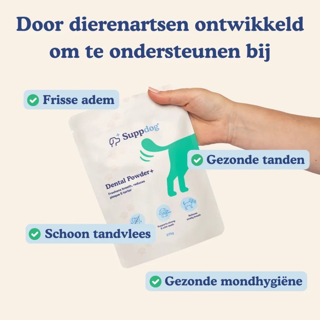 Dental Powder+ ontwikkeld voor problemen frisse adem, gezonde tanden, schoon tandvlees en gezonde mondhygiëne