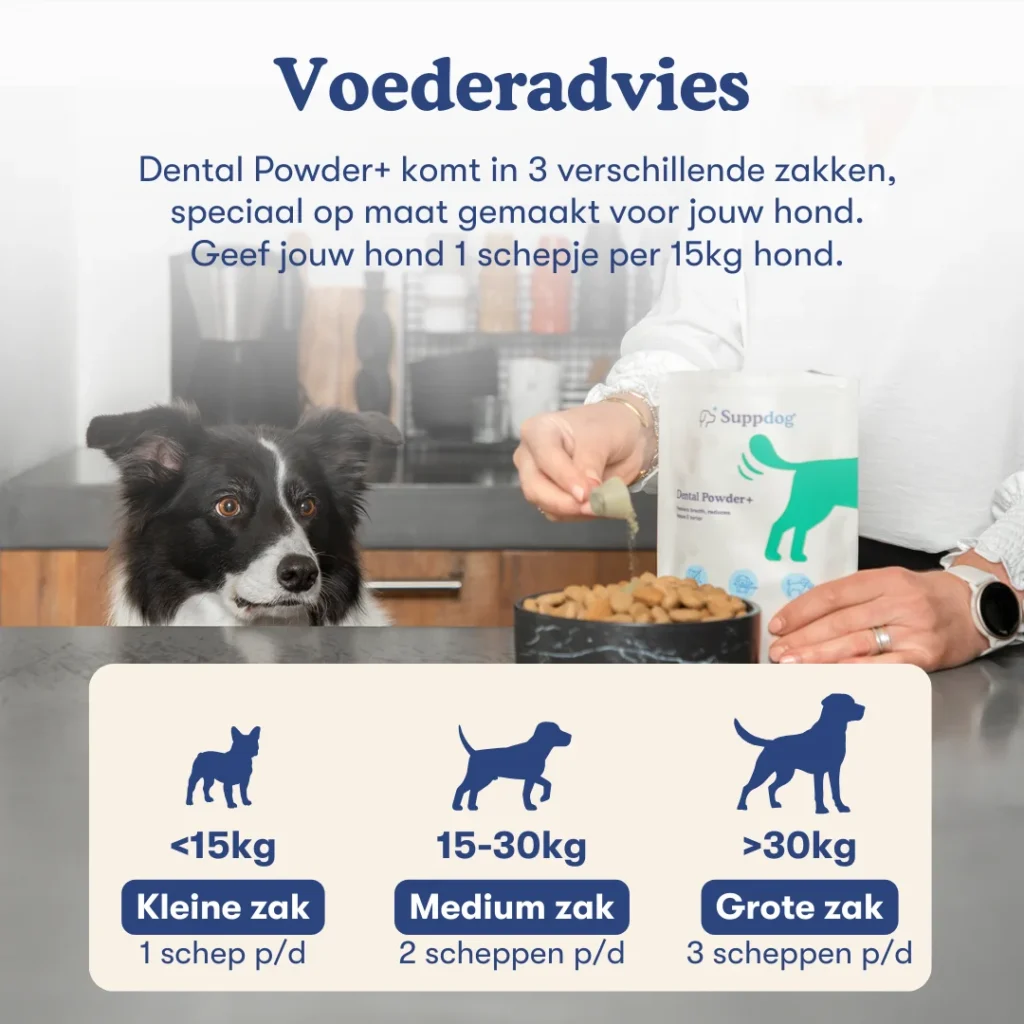 Dental Powder+ voederadvies met hond en baasje blij op de achtergrond