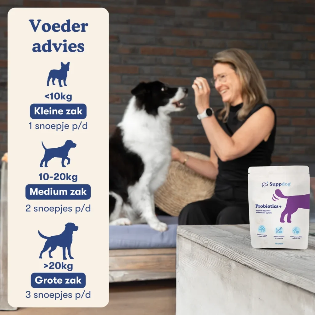 Probiotica+ voederadvies met hond en baasje blij op de achtergrond