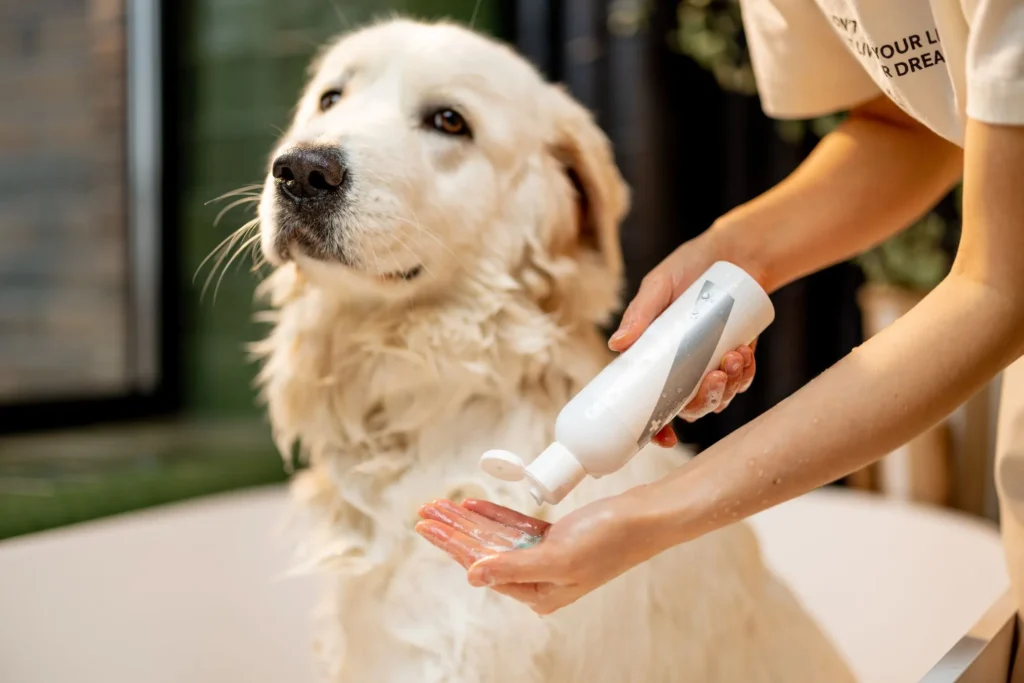 Hond wassen met verkeerde shampoo
