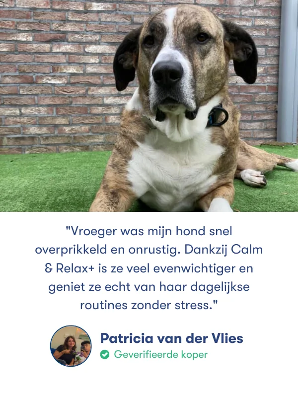 Vroeger was mijn hond snel
