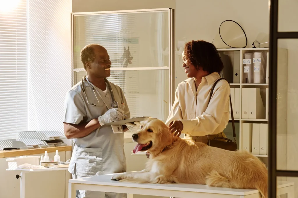 Hond bij dierenarts voor chronische diarree