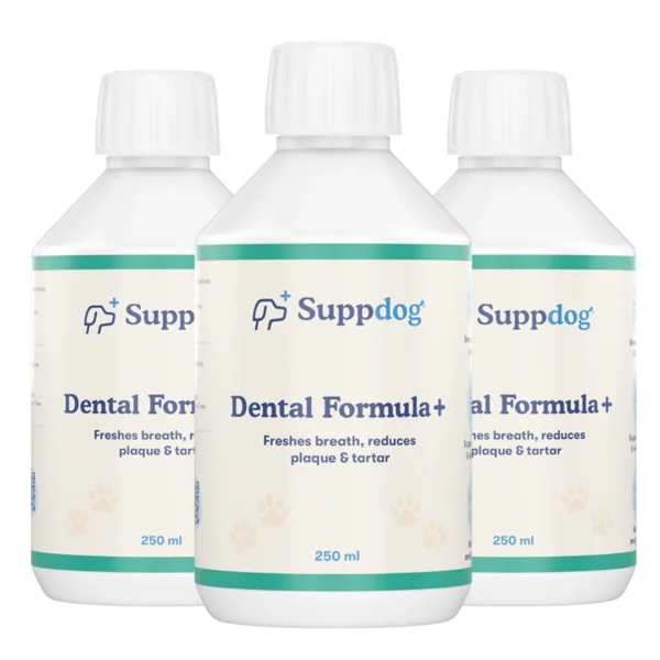 Dental Formula+ 3-pack