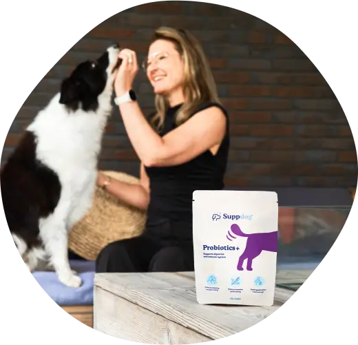 A lady feeding a dog with suppdog probiotics