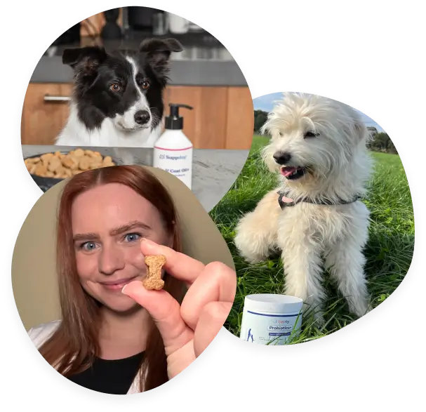 A veterinarian recommending suppdog products for your pet