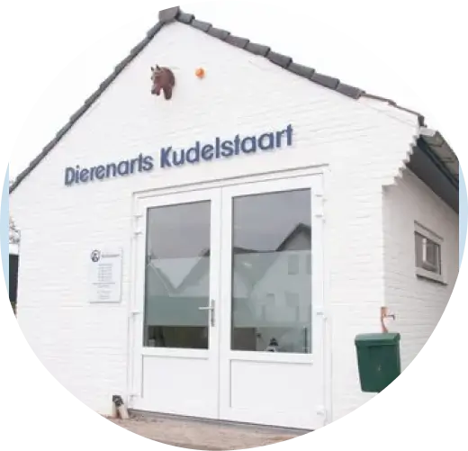 Dierenarts Kudelstaart front view