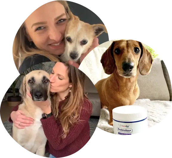 Pet parents and their pets both happy of the effects of Suppdog supplements